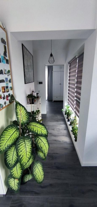 Apartament/Penthouse 3 camere , Cetatii=F,singur pe tot nivelul Cetatii=Floresti