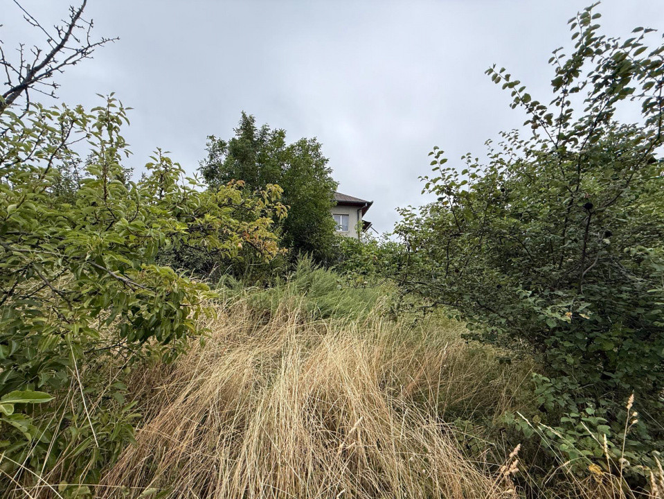 Casa renovabila cu 3000mp teren, Feleacu 