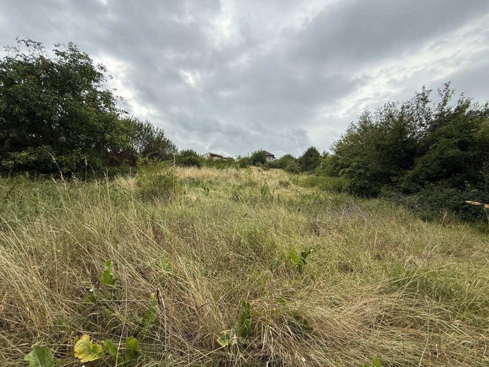 Casa renovabila cu 3000mp teren, Feleacu 
