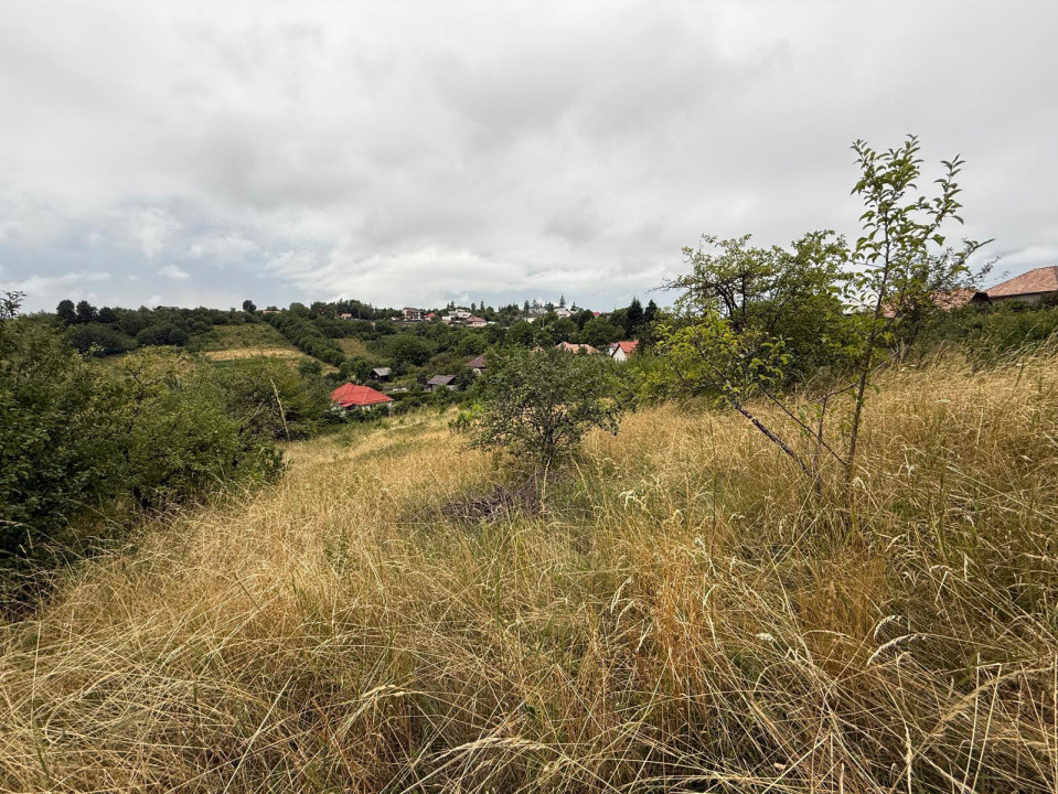 Casa renovabila cu 3000mp teren, Feleacu 