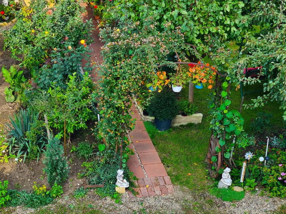 Casa unifamilială, 9 camere, 3 apartamente, 560mp teren 