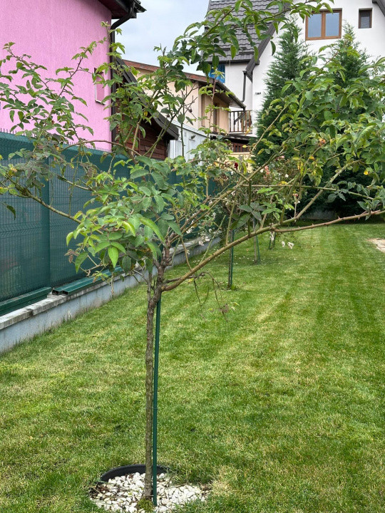 CASA INDIVIDUALA P+1 - 200mp utili, 462mp teren, Someseni