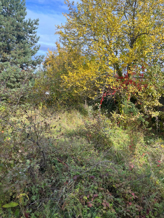 Teren construibil cu CU, cartier Buna Ziua, str. Măceșului