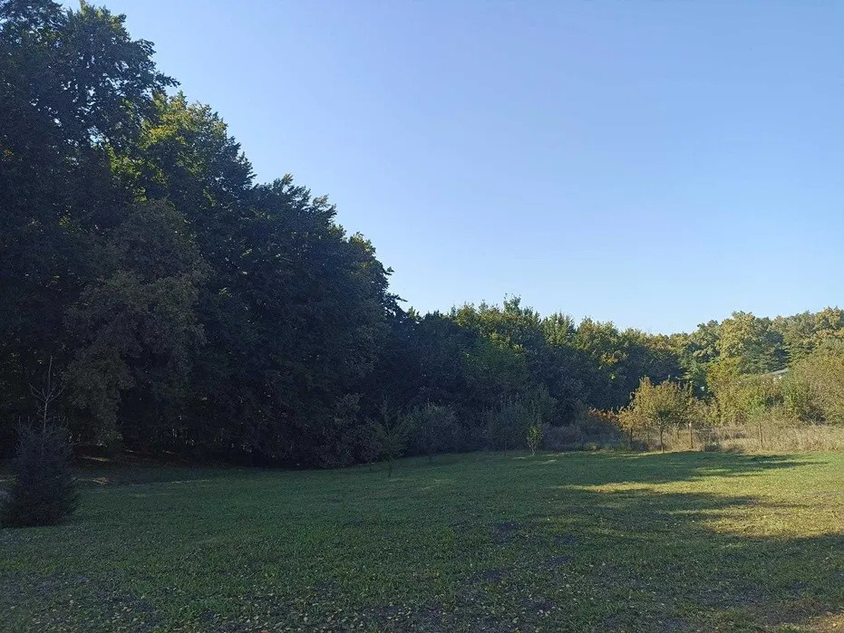 Teren de vânzare, Făget, zonă premium, la liziera pădurii,1876mp Cluj Napoca