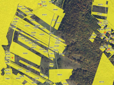 Oportunitate investitie! Teren intravilan, 5800mp, Floresti