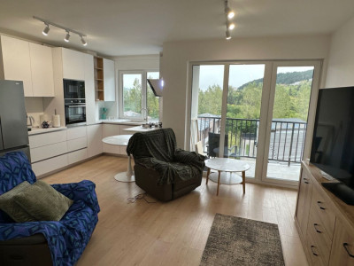 Apartament 2 camere de inchiriat, Zona Abatorului