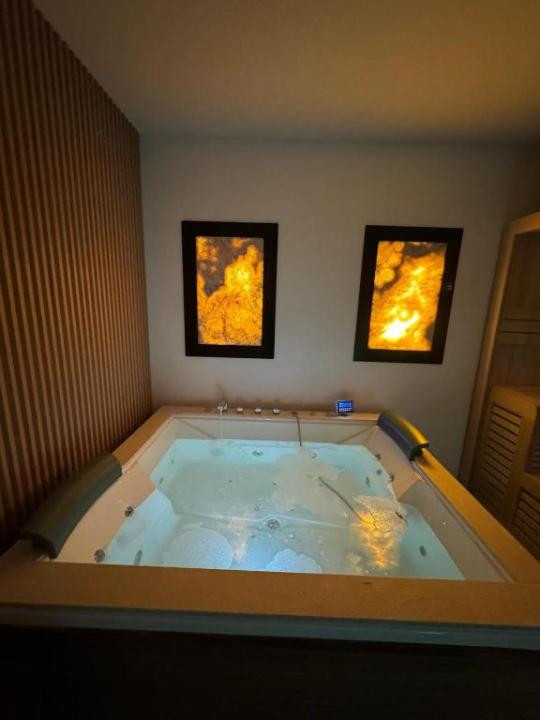 Vilă superbă, 328mp utili, D+P+E, garaj, piscină, SPA, fitness