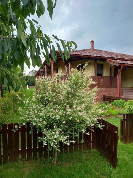 Casa individuala cu teren 750mp, garaj, beci, terasa - Dezmir