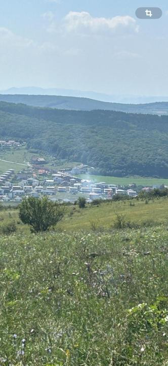 Oportunitate de investitie | Teren intravilan | 7200mp | Chinteni