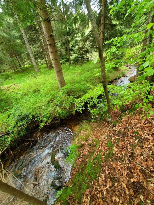 Casă de vacanță spațioasă în Călățele Pădure – Dealul Negru, teren 2000 mp