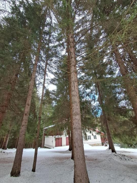 Casă de vacanță spațioasă în Călățele Pădure – Dealul Negru, teren 2000 mp