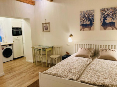 Studio modern de închiriat, str. Horea 