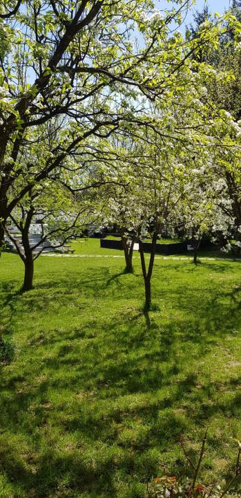 Refugiu de Lux în Inima Naturii Cabană Premium cu Piscină, Jacuzzi și 2000 mp 