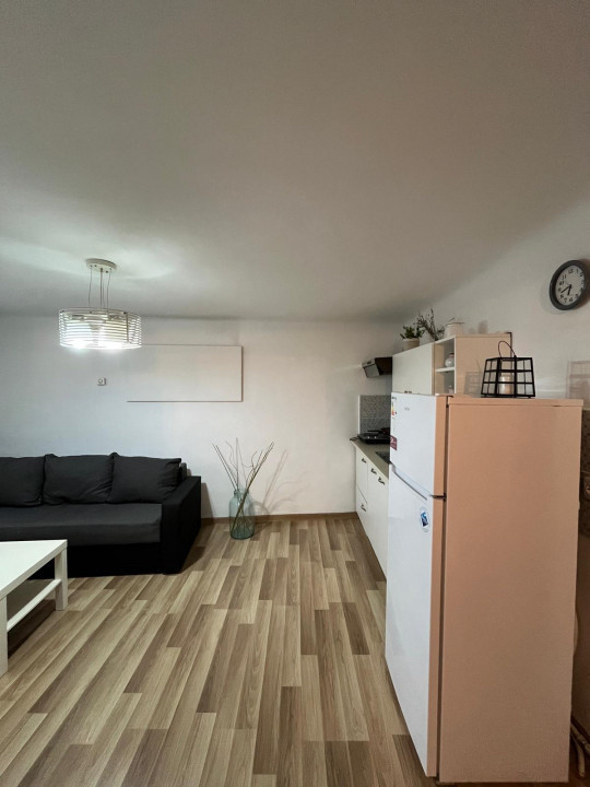 Apartament Ultracentral Piata Muzeului.