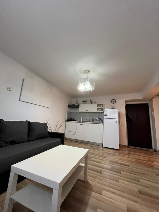 Apartament Ultracentral Piata Muzeului.