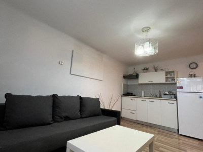 Apartament Ultracentral Piata Muzeului.