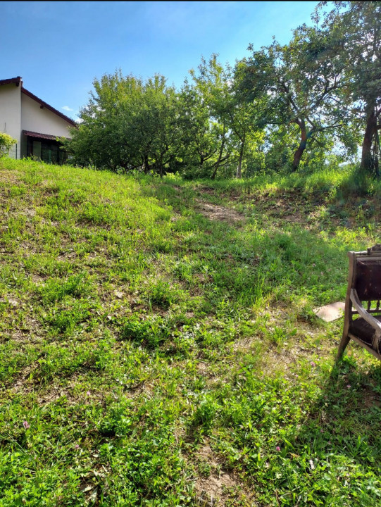 Teren 1.195 mp zona Faget