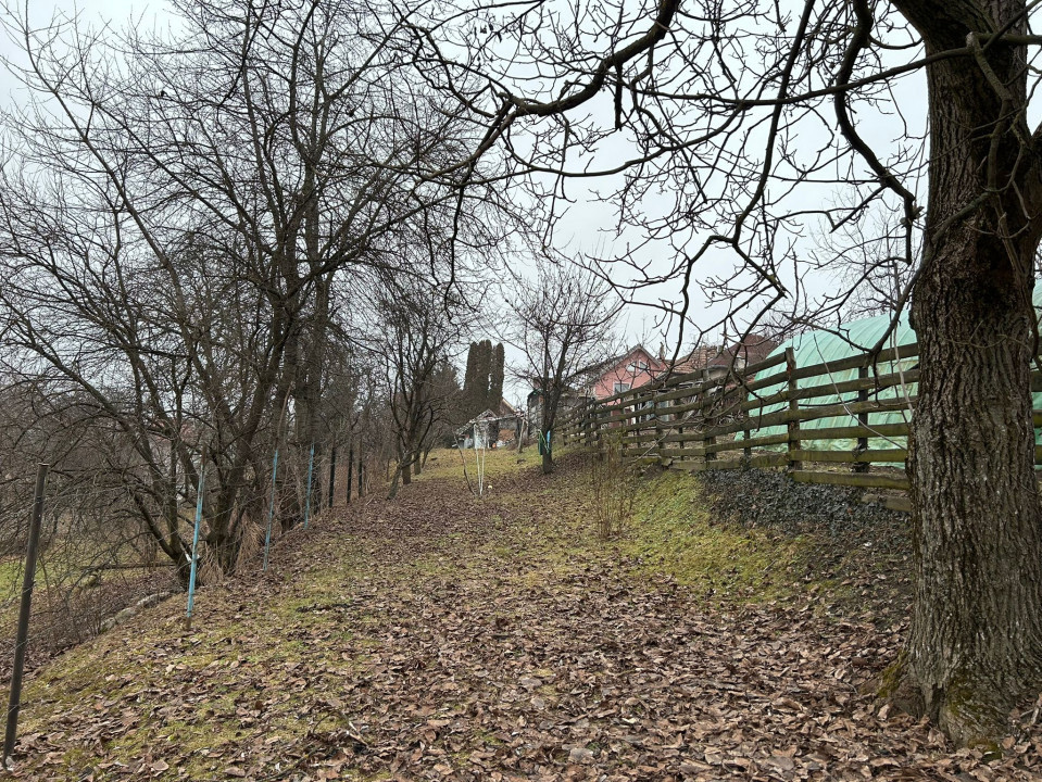 Casa demolabila, Andrei Mureșanu , 560mp teren 