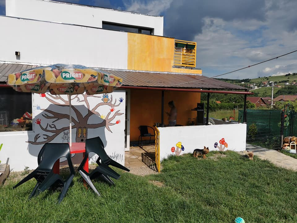 Casa individuala Salicea, 105mp utili, teren 500mp 