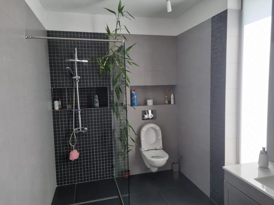 COMISION 0!!! Casa deosebita, utilata mobilata, Faget, 311mp utili