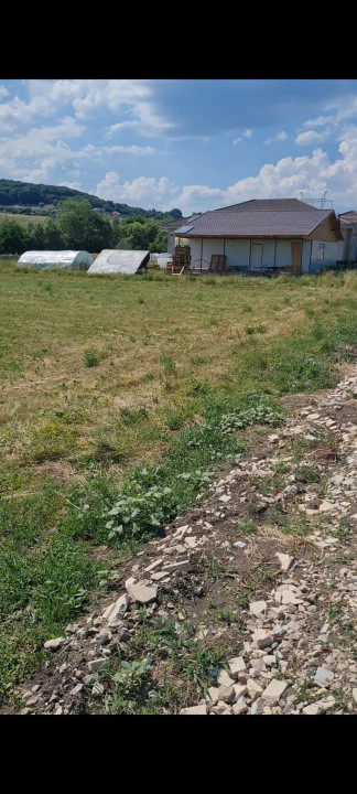 Teren intravilan, 3700 mp, Popesti, Cluj