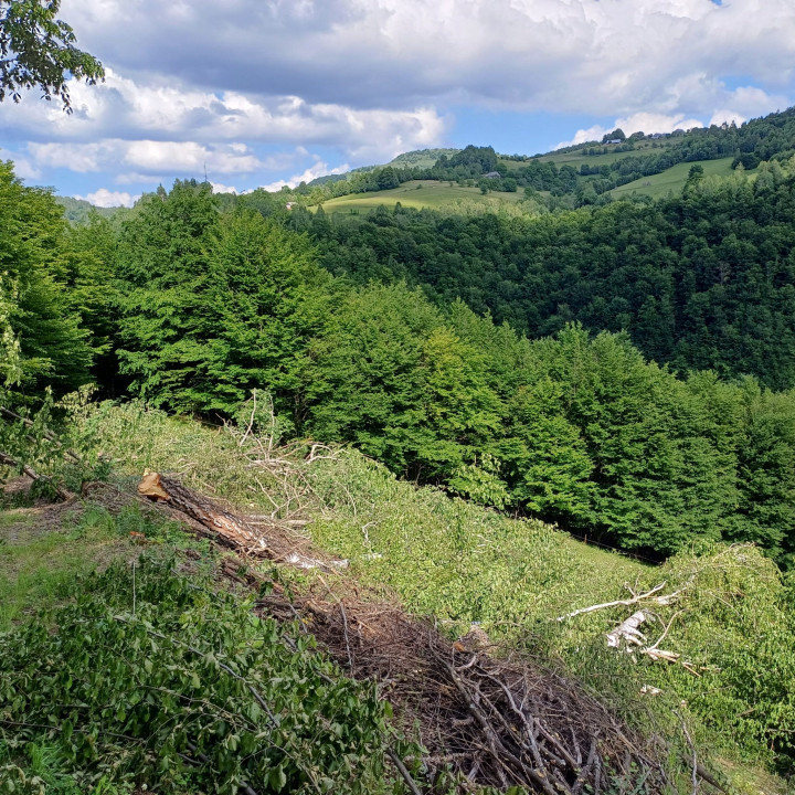 Oportunitate investitie, teren intravilan vanzare, 39171 mp, parcelabil, Poieni