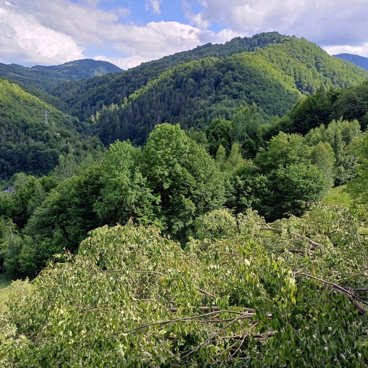 Oportunitate investitie, teren intravilan vanzare, 39171 mp, parcelabil, Poieni